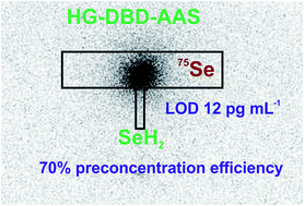 Graphical abstract: Feasibility of in situ trapping of selenium hydride in a DBD atomizer for ultrasensitive Se determination by atomic absorption spectrometry studied with a 75Se radioactive indicator