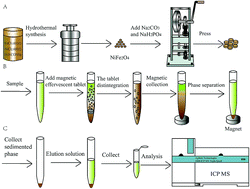 Graphical abstract: Development of an effervescent tablet microextraction method using NiFe2O4-based magnetic nanoparticles for preconcentration/extraction of heavy metals prior to ICP-MS analysis of seafood