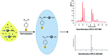 Graphical abstract: Development of a method for the quantitative metabolite profiling of pharmaceutical drugs using HPLC-ICP-MS following pre-column derivatization of their amino and hydroxyl groups using 4-aminopyridine as a model compound