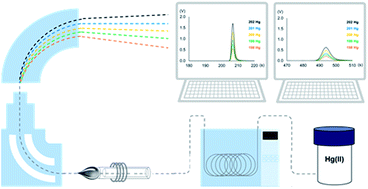 Graphical abstract: Measurement of compound-specific Hg isotopic composition in narrow transient signals by gas chromatography coupled to multicollector ICP-MS