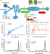 Graphical abstract: Multivariate computational analysis of biosensor's data for improved CD64 quantification for sepsis diagnosis
