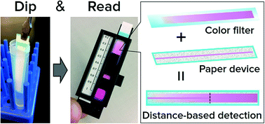 Graphical abstract: “Dip-and-read” paper-based analytical devices using distance-based detection with color screening