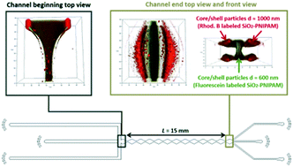 Graphical abstract: Splitting and separation of colloidal streams in sinusoidal microchannels