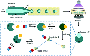 Graphical abstract: Microfluidic preparation of flexible micro-grippers with precise delivery function