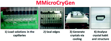 Graphical abstract: A high-throughput multi-microfluidic crystal generator (MMicroCryGen) platform for facile screening of polymorphism and crystal morphology for pharmaceutical compounds
