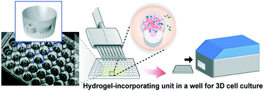 Graphical abstract: Hydrogel-incorporating unit in a well: 3D cell culture for high-throughput analysis