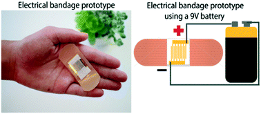 Graphical abstract: Interdigitated microelectronic bandage augments hemostasis and clot formation at low applied voltage in vitro and in vivo