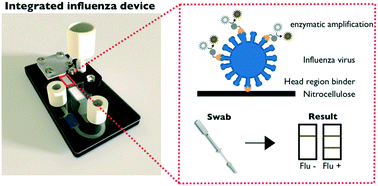 Graphical abstract: An integrated device for the rapid and sensitive detection of the influenza hemagglutinin