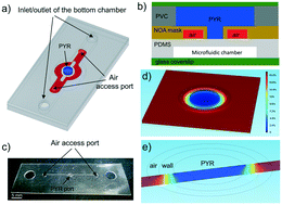 Graphical abstract: Fabrication of composite microfluidic devices for local control of oxygen tension in cell cultures