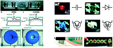 Graphical abstract: Increasing the functionalities of 3D printed microchemical devices by single material, multimaterial, and print-pause-print 3D printing