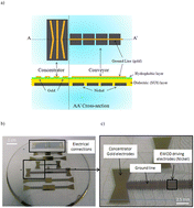 Graphical abstract: Selective electrohydrodynamic concentration of waterborne parasites on a chip