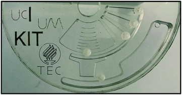 Graphical abstract: Elastic reversible valves on centrifugal microfluidic platforms