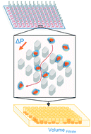 Graphical abstract: A scalable filtration method for high throughput screening based on cell deformability