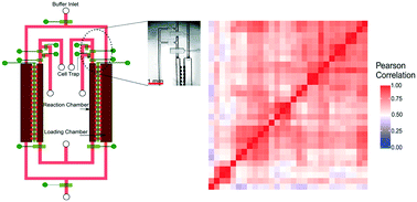 Graphical abstract: A diffusion-based microfluidic device for single-cell RNA-seq