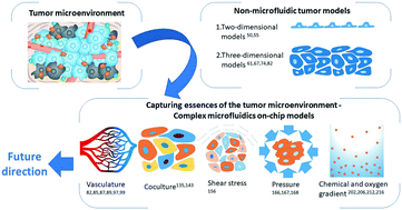 Graphical abstract: Microfluidic modelling of the tumor microenvironment for anti-cancer drug development