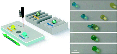 Graphical abstract: Mechanical-activated digital microfluidics with gradient surface wettability