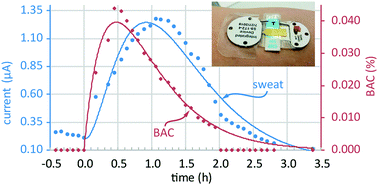 Graphical abstract: Complete validation of a continuous and blood-correlated sweat biosensing device with integrated sweat stimulation