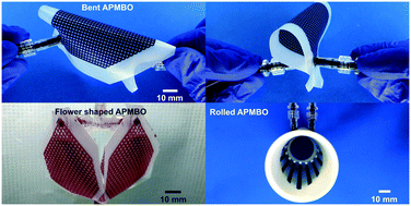 Graphical abstract: An ultra-thin highly flexible microfluidic device for blood oxygenation