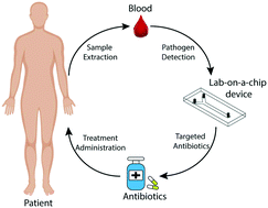 Graphical abstract: Point of care technologies for sepsis diagnosis and treatment