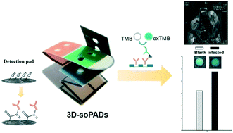 Graphical abstract: Three-dimensional origami paper-based device for portable immunoassay applications