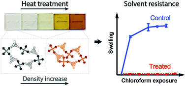 Graphical abstract: Chloroform compatible, thiol-ene based replica molded micro chemical devices as an alternative to glass microfluidic chips