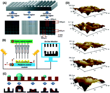 Graphical abstract: Tailored 3D printed micro-crystallization chip for versatile and high-efficiency droplet evaporative crystallization