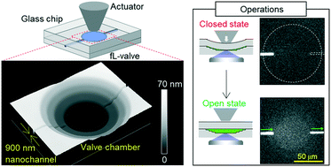 Graphical abstract: Femtoliter nanofluidic valve utilizing glass deformation