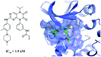 Graphical abstract: Discovery and biological evaluation of N5-substituted 6,7-dioxo-6,7-dihydropteridine derivatives as potent Bruton's tyrosine kinase inhibitors