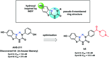 Graphical abstract: Design and synthesis of conformationally constraint Dyrk1A inhibitors by creating an intramolecular H-bond involving a benzothiazole core