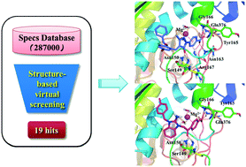 Graphical abstract: Identification of potent catalytic inhibitors of human DNA topoisomerase II by structure-based virtual screening