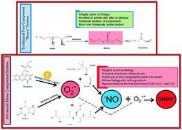 Graphical abstract: Flush with a flash: natural three-component antimicrobial combinations based on S-nitrosothiols, controlled superoxide formation and “domino” reactions leading to peroxynitrite