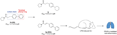 Graphical abstract: Synthesis, biological evaluation, and structure activity relationship (SAR) study of pyrrolidine amide derivatives as N-acylethanolamine acid amidase (NAAA) inhibitors