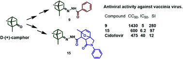 Graphical abstract: Synthesis of d-(+)-camphor-based N-acylhydrazones and their antiviral activity