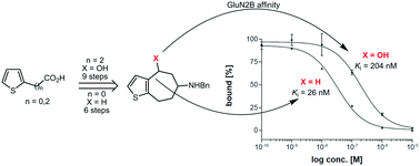 Graphical abstract: Synthesis and receptor binding of thiophene bioisosteres of potent GluN2B ligands with a benzo[7]annulene-scaffold