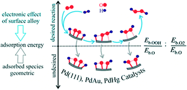 Graphical abstract: Descriptor study by density functional theory analysis for the direct synthesis of hydrogen peroxide using palladium–gold and palladium–mercury alloy catalysts