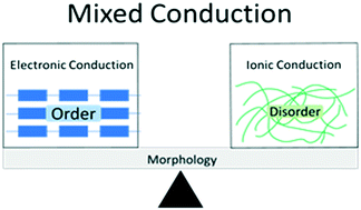 Graphical abstract: Morphological effects on polymeric mixed ionic/electronic conductors
