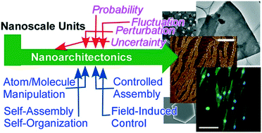 Graphical abstract: Soft material nanoarchitectonics at interfaces: molecular assembly, nanomaterial synthesis, and life control