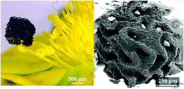 Graphical abstract: Additive manufacturing of complex micro-architected graphene aerogels