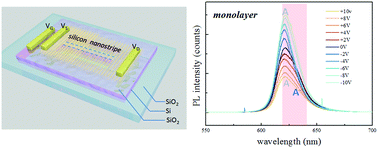 Graphical abstract: Single silicon nanostripe gated suspended monolayer and bilayer WS2 to realize abnormal electro-optical modulation