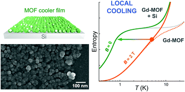Graphical abstract: Growth of a dense gadolinium metal–organic framework on oxide-free silicon for cryogenic local refrigeration