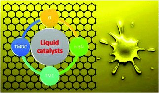 Graphical abstract: Liquid catalysts: an innovative solution to 2D materials in CVD processes