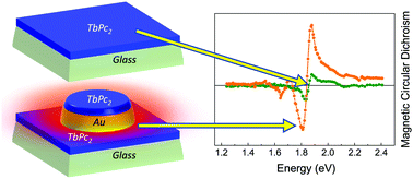 Graphical abstract: Plasmon-enhanced magneto-optical detection of single-molecule magnets