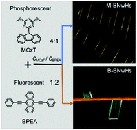 Graphical abstract: Controllable co-assembly of organic micro/nano heterostructures from fluorescent and phosphorescent molecules for dual anti-counterfeiting