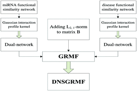 Graphical abstract: Dual-network sparse graph regularized matrix factorization for predicting miRNA–disease associations