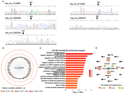 Graphical abstract: ReCirc: prediction of circRNA expression and function through probe reannotation of non-circRNA microarrays