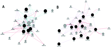 Graphical abstract: Shared gene-network signatures between the human heavy metal proteome and neurological disorders and cancer types