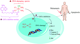 Graphical abstract: Multifunctional Pt(iv) complexes containing a glutathione S-transferase inhibitor lead to enhancing anticancer activity and preventing metastasis of osteosarcoma cells