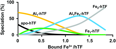 Graphical abstract: Competition between Al3+ and Fe3+ binding to human transferrin and toxicological implications: structural investigations using ultra-high resolution ESI MS and CD spectroscopy