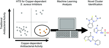 Graphical abstract: High-throughput screening and Bayesian machine learning for copper-dependent inhibitors of Staphylococcus aureus