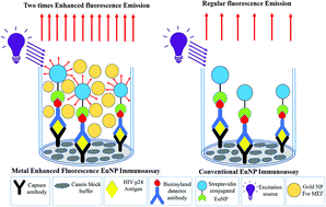 Graphical abstract: Sub-picogram level sensitivity in HIV diagnostics achieved with the europium nanoparticle immunoassay through metal enhanced fluorescence